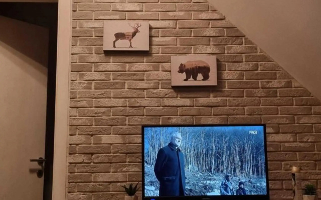 FEMI 503, Zupa Wellness & Spa, Kopaonik