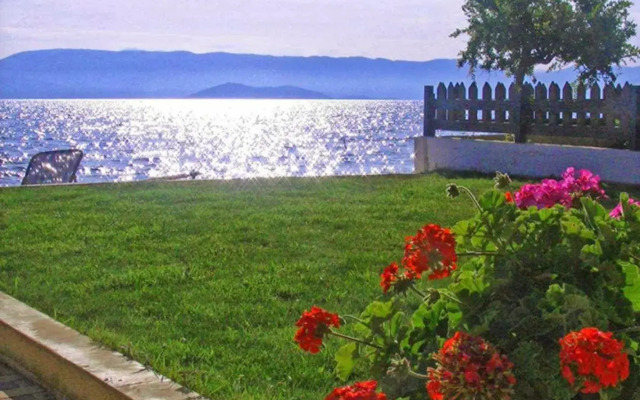Finata  Studios