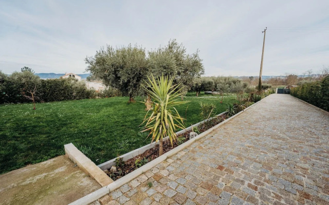 Quinta Chao Do Ribeiro