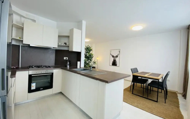 Charming flat in Brasov with balcony