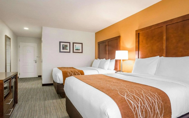 Comfort Inn Ferdinand