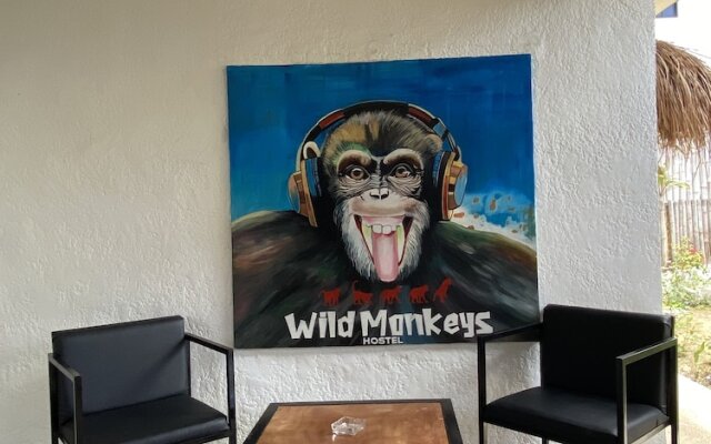 Wild Monkeys Hostel