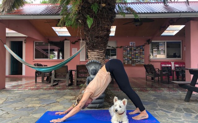 Dolphins Beach House - Hostel