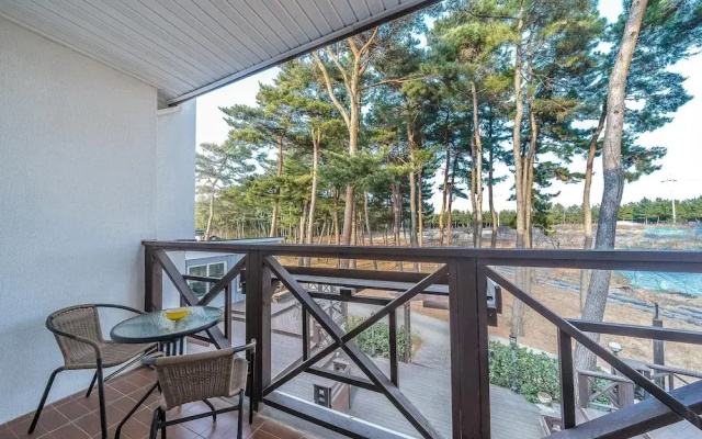 The Gangneung Foret Pension