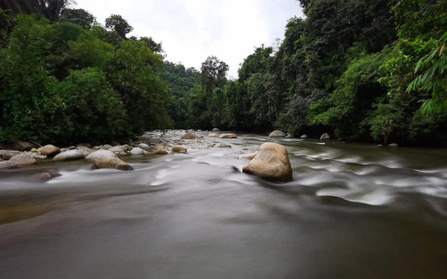 HIJAU @ Gopeng