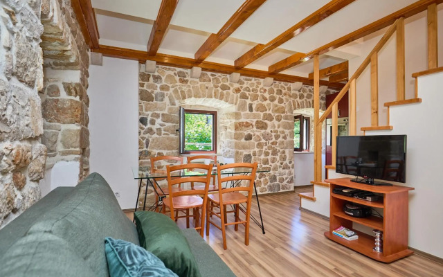 Apartment Cinnamomeus A20