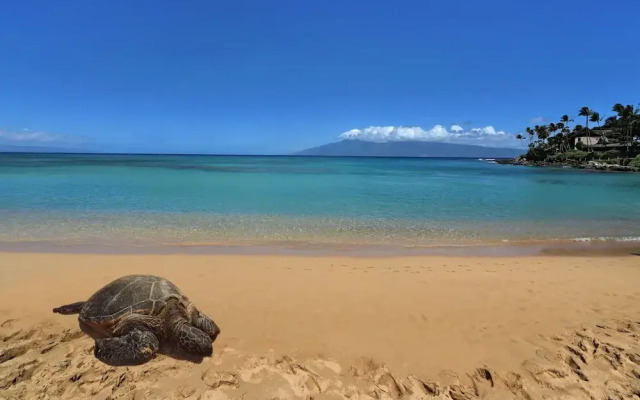 Napili Ridge A2