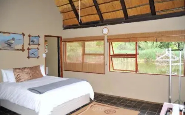 Palmwag Tzaneen
