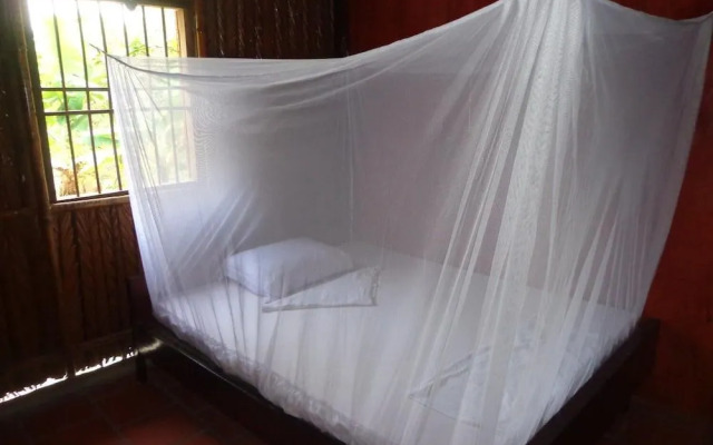 Phuong Thao Homestay