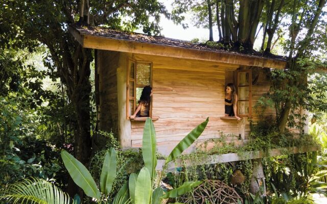 Roots Tree House