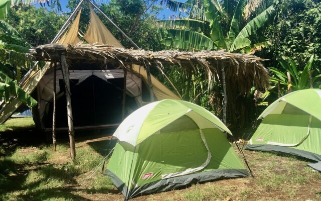 Camp Utila Village - Hostel