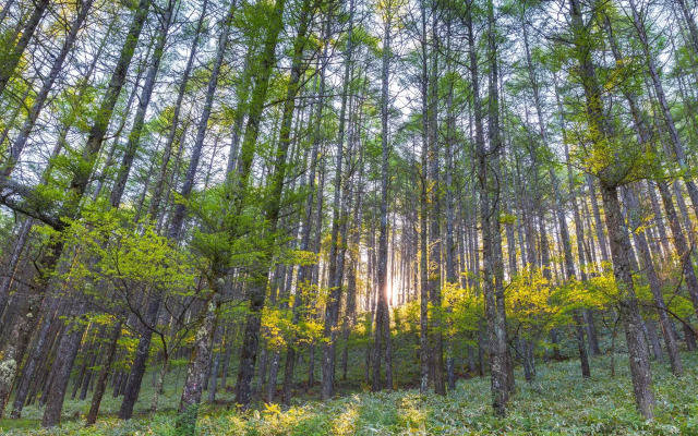 Urbanview Hotel Nugraha Palembang