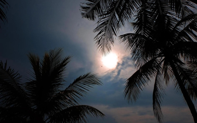 Umadewi Surf & Retreat