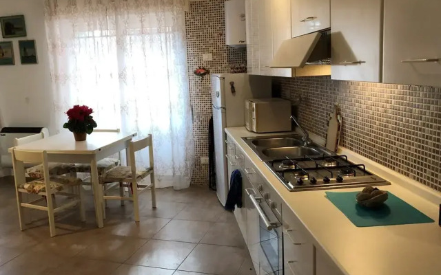 House Orsa Maggiore