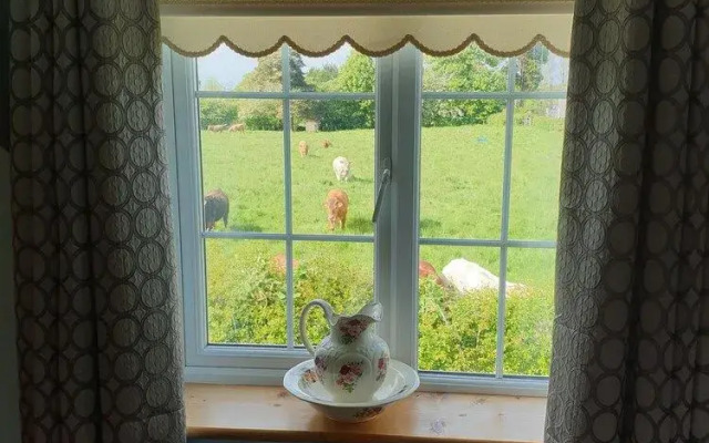 Nellies Cottage B&B
