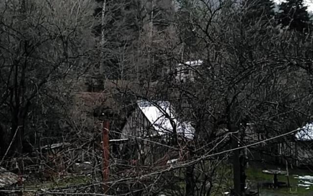 House Borjomi