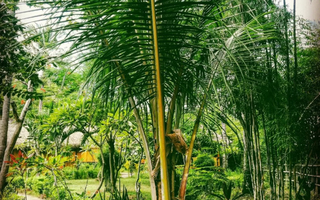 Rinjani Beach Eco Resort