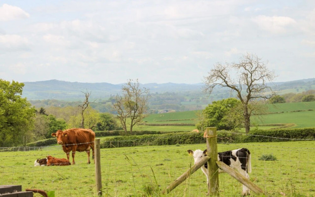 The Byre