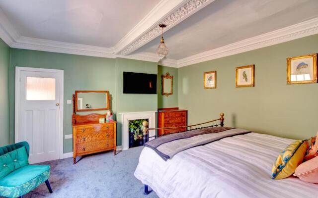 Green Parrot House