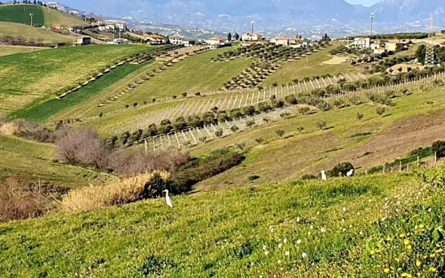B&B Gli amici del tubarello