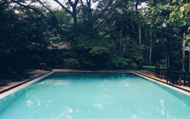 Bungalow Sud