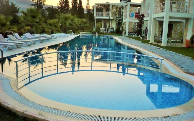 BO082 by Villaofsummer