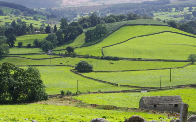 Fellside