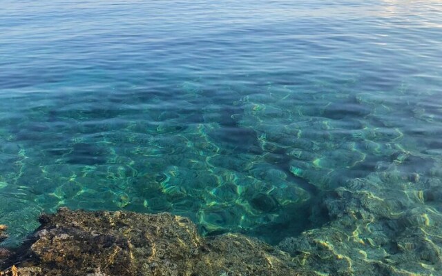 Floreica Maisonneta By the Sea.