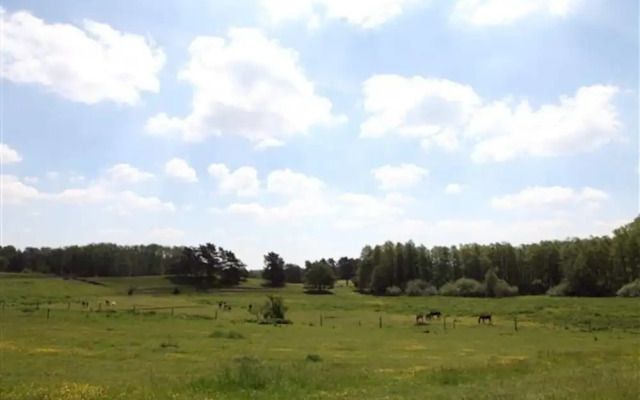Reihenhaus Rotkehlchen in Lohmen