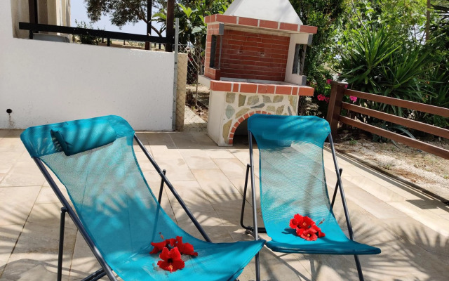 Palm garden paradise