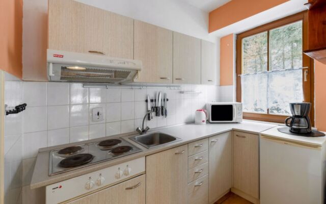 Apartment Lanovka Jachymov 36318