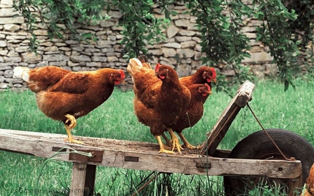 Les Granges de la Leigne