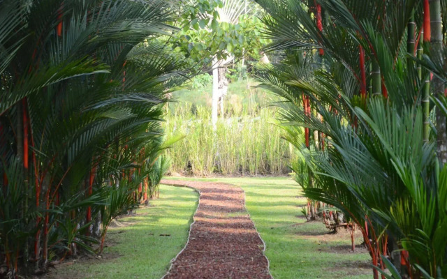 Macaw Lodge