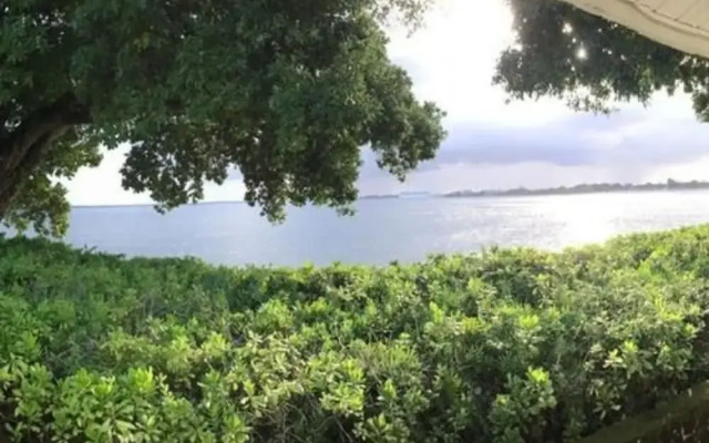 The Bay House House Bed and Breakfast
