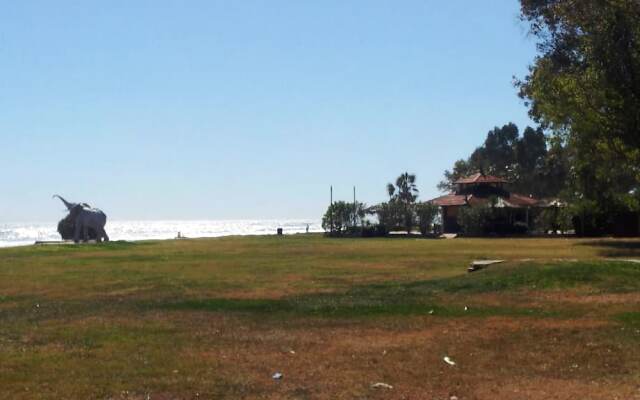 ACV - Costa Marina III-1ª Línea Planta 4 Sur