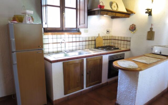 House Ulivo Montescudaio