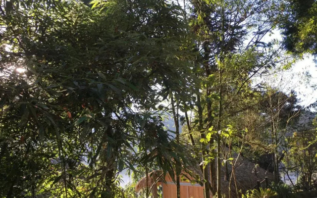 Sapa Jungle Pub  Homestay