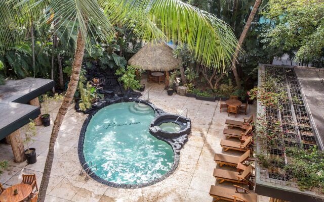 The Bamboo Waikiki 704