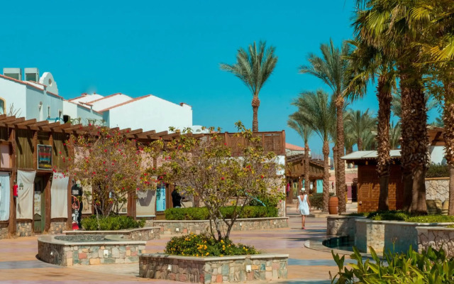 Reef Oasis Blue Bay Resort Hotel Families & Couples Only 