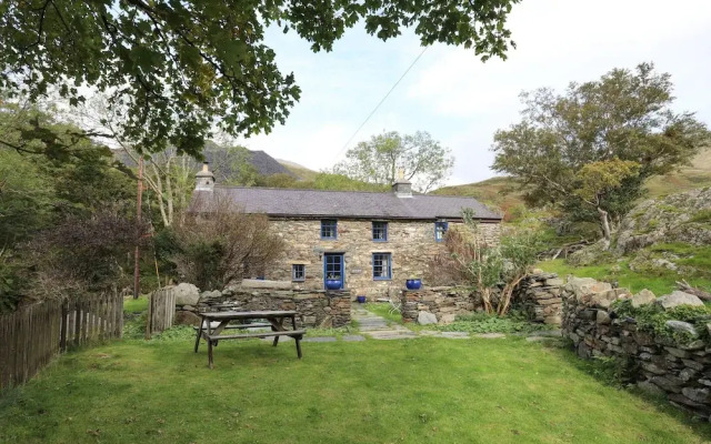 Llwyn Bedw