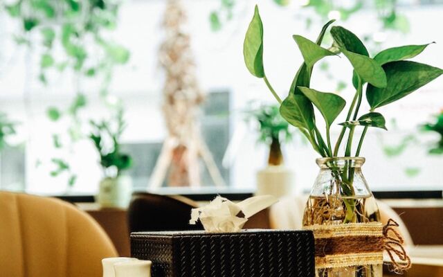 Top One Halong Hotel