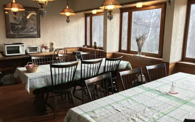 New togakushi schiheil