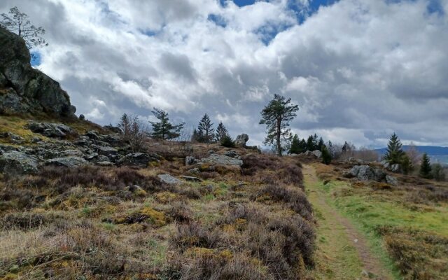 Cozy Holiday Home in Stadlern near Ski Slopes