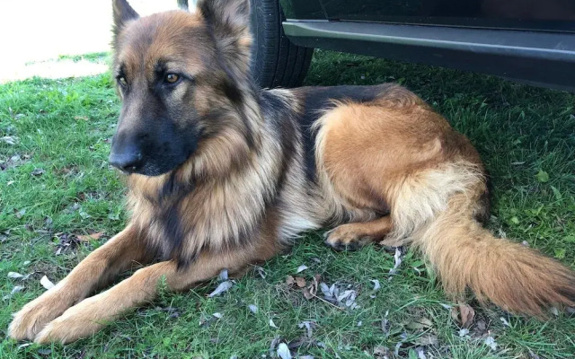 Landgasthof Zur Wildbahn