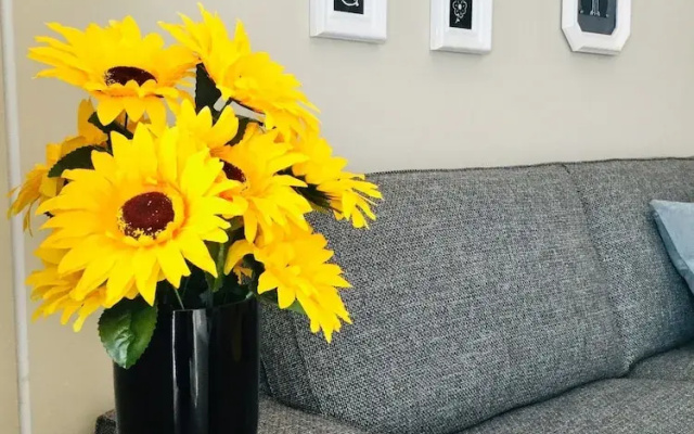 Apartamento Centro de Ocio y Negocios