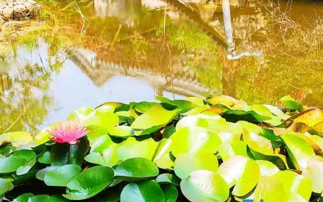 Shi Li Jia Sheng Homestay (Qufu Convention and Exhibition Center)