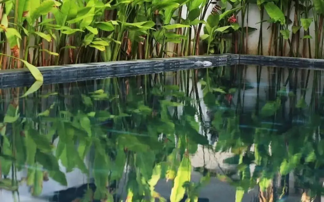 The Bau Bi Retreat