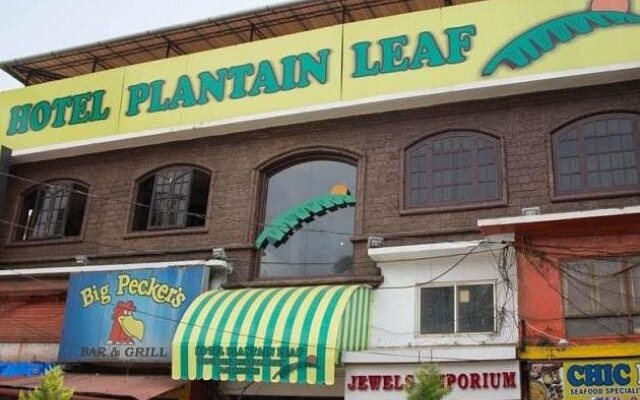 Treebo Trip Plantain Leaf