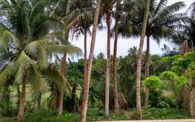 Hainan Prima Resort