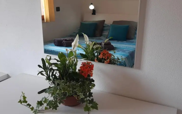 Casa Cao Appartamento L Ulivo